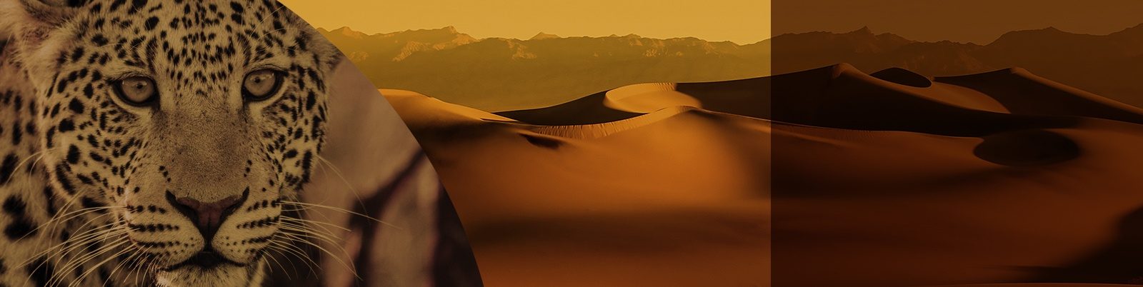 Axalta Color of the Year 2019 - Sahara